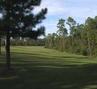 Grand Bear G.C. in Saucier