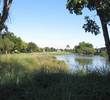 Jim McLean golf course at Doral - hole 5