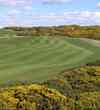 Murcar Links Golf Club - greens