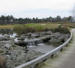 Cape Fear National golf course