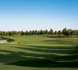 Desert Pines golf course - 15th green