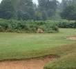 Knole Park
