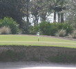 Tiburon Golf Club - Gold course