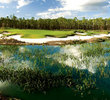 Old Corkscrew G.C. in Estero