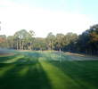 Palmetto Hall Plantation's Hills Course - hole 2 green
