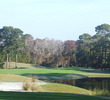 Palmetto Hall Plantation's Hills Course - hole 10