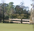 Black course at Tiburon Golf Club
