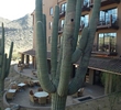 Ritz-Carlton Dove Mountain