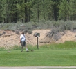 Plumas Pines
