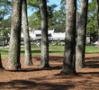Harbour Town Golf Links at Sea Pines Resort - hole 9