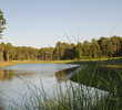 Robert Cupp Course at Palmetto Hall Plantation - hole 13