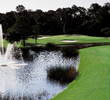 Magnolia golf course at Disney: 14th hole