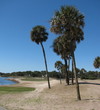 Ocean Point Golf Links at Fripp Island Resort - hole 1