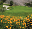 Crossings at Carlsbad golf course - hole 17