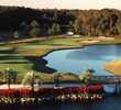 Disney's Palm Golf Course