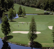 Disney's Palm Golf Course - green
