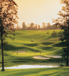 Woodlands golf course at Chateau Elan - hole 2