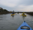 Kayaking in Beaufort, S.C.