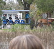 Beaufort - horse-drawn buggy 