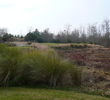 Barefoot Resort and Golf - Love Course
