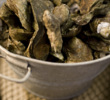 Oysters