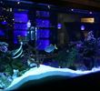 Sea Blue restaurant - North Myrtle Beach
