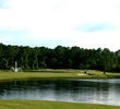 Disney World's Palm golf course - Hole 14