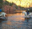 Sedona, Arizona - horses