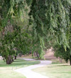 Knollwood Country Club golf course