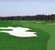 Shingle Creek Golf Club - no. 8