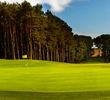 Meldrum House Golf Club - 3rd green