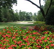 Caledonia Golf & Fish Club - flowers
