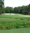 Tidewater Golf Club and Plantation - hole 7