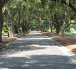 Caledonia Golf & Fish Club - entrance
