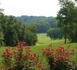Bear Creek Valley golf course - hole 8 tee