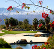 Desert Willow Golf Resort
