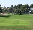 Wigwam Resort Golf Club Gold Course - Greens