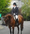 Adare Manor Hotel and Golf Resort - riding