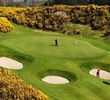 Druids Glen Golf Resort - Druids Glen course
