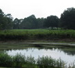 Deercreek Country Club in Jacksonville - No. 9