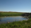 Sevillano Links golf course - No. 15