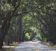 Plantation Drive - Sea Pines Resort