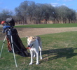 Jimmy Clay Golf Course - Kerby the dog