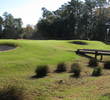 Glen Dornoch golf course - No. 5 green