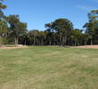 Palmetto Dunes resort - Fazio golf course - 5