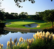 TPC Four Seasons - No. 5