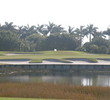 The Rookery at Marco Golf Club - No. 16