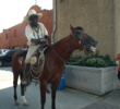 Fort Worth cattle driver