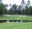 The Swampfire course