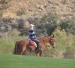 indiancanyonshorses